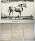 Three Original 18th Century Diderot Encyclopédie Horse Harness Engravings, Louis-Jacques Goussier