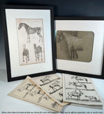 Three Original 18th Century Diderot Encyclopédie Horse Harness Engravings, Louis-Jacques Goussier