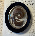 Antique French Hair Art Mourning or Memento in Silk Velvet Easel Back Frame, Lemonnier Maker