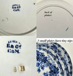 RARE Set of 10 Dessert Plates and 1 Platter in c.1840 Antique French Faïence, Blue & White by B & C Creil & Montereau