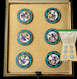 Set of 6 Large Antique French Sterling Silver Buttons, Kiln-fired Enamel, Still in Original Box, Risler & Carré