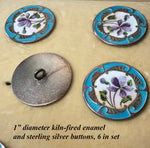 Set of 6 Large Antique French Sterling Silver Buttons, Kiln-fired Enamel, Still in Original Box, Risler & Carré