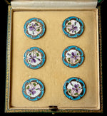 Set of 6 Large Antique French Sterling Silver Buttons, Kiln-fired Enamel, Still in Original Box, Risler & Carré