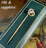 Antique Victorian to Edwardian Era Box and 18k Mourning Stick Pin w Coiled Snake, Sapphire Eye
