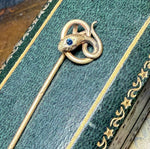 Antique Victorian to Edwardian Era Box and 18k Mourning Stick Pin w Coiled Snake, Sapphire Eye