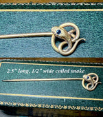 Antique Victorian to Edwardian Era Box and 18k Mourning Stick Pin w Coiled Snake, Sapphire Eye