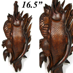 Antique Victorian to Edwardian Era Black Forest Style Carved 16.5” Plaque, Maritime Fish Theme