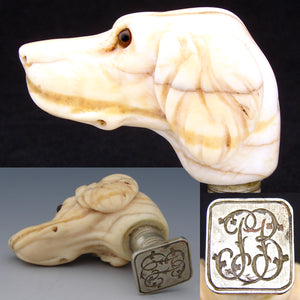 Antique Victorian Era Hand Carved Ivory Wax Seal or Sceau, a Hound or Dog Head