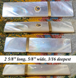 Antique c.1820 French Palais Royal Sewing Needle Case, Etui, 18k Gold Trim & Enamel  Flower, Mother of Pearl