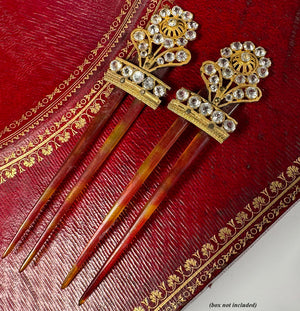 Pair Antique 18th Century French Peigne, Paste Gem Hair Ornaments, Ormolu and Tortoise Shell Combs