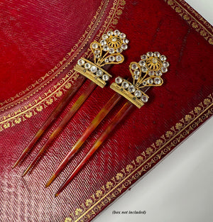 Pair Antique 18th Century French Peigne, Paste Gem Hair Ornaments, Ormolu and Tortoise Shell Combs