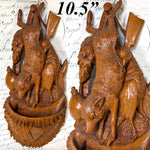 Antique Black Forest 10.5" Fruits of the Hunt Style Plaque, Match Holder with Fox, Game Bird & More!