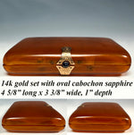 Fine Antique French Blond Tortoise Shell Cigar Case w 14k Gold and Sapphire Clasp, Hinges c.1900 Belle Epoch