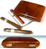 Fine Antique French Blond Tortoise Shell Cigar Case w 14k Gold and Sapphire Clasp, Hinges c.1900 Belle Epoch