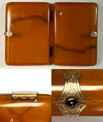 Fine Antique French Blond Tortoise Shell Cigar Case w 14k Gold and Sapphire Clasp, Hinges c.1900 Belle Epoch