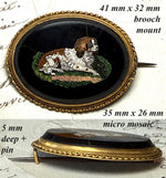 Antique Victorian Era Italian Curly Micro Mosaic Spaniel in 18k Gold Brooch Mount, Grand Tour Souvenir in Box
