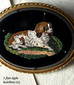 Antique Victorian Era Italian Curly Micro Mosaic Spaniel in 18k Gold Brooch Mount, Grand Tour Souvenir in Box