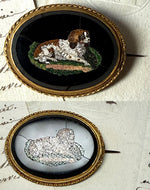 Antique Victorian Era Italian Curly Micro Mosaic Spaniel in 18k Gold Brooch Mount, Grand Tour Souvenir in Box