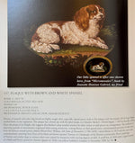 Antique Victorian Era Italian Curly Micro Mosaic Spaniel in 18k Gold Brooch Mount, Grand Tour Souvenir in Box
