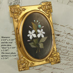 Antique Italian Victorian Era Pietra Dura & Gilt Bronze 4.25" Picture Frame, Floral Inlay