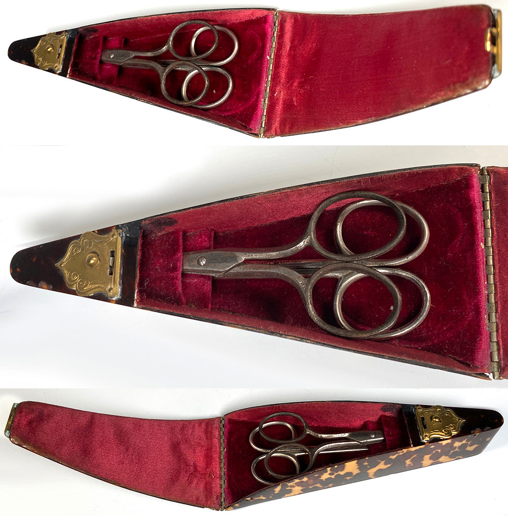 RARE Antique Victorian English Tortoise Shell Scissors Case, Etui, EC w 2 Paris Scissors