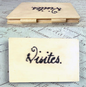 Antique 18th century French Calling Card Case, Aide d'Memoire, Ivory and Cut Steel Pique "Visites"