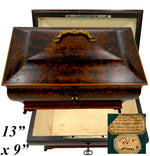 Opulent Antique c.1820s French Burl Veneer Sarcophagus 13" Trousseau Box, Casket, Chest