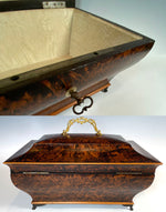 Opulent Antique c.1820s French Burl Veneer Sarcophagus 13" Trousseau Box, Casket, Chest