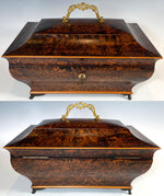 Opulent Antique c.1820s French Burl Veneer Sarcophagus 13" Trousseau Box, Casket, Chest