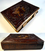 Large Antique Mid 19th Century Hand Carved Black Forest Hunt Theme Carte de Visite Photo Album