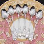 Antique French Sterling Silver 6pc Teaspoon Set, Louis XVI Acanthus Pattern in Box