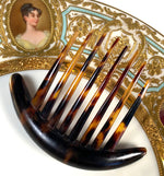 Large Antique French Chignon Hair Comb, 4.25" Ornamental Tiara in Tortoise Shell, Napoleon III Era