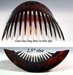 Hand Carved Antique Huge Tortoise Shell Tiara #7, Ornamental Comb, Mantilla, Napoléon III French