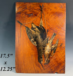 Large 1800s French Oil Painting on Board, Nature Morte, Still Life of Birds in Trompe-l'œil Artist Signed