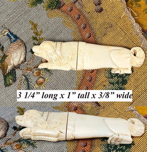RARE Antique 18th Century French Palais Royal Carved Ivory 18k Pique D –  Antiques & Uncommon Treasure