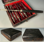 Antique c. 1830 French Dental Hygiene Care or Dentist Tools in Original Travel Case, Necessaire #2, Carved Handle, Toothpick