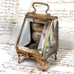 Antique French Napoleon III Pocket Watch Casket or Display, a Miniature Vitrine