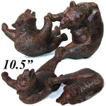 Antique PAIR of Large Black Forest Carved Bear or Cub Figures, 8.75"-10.5"