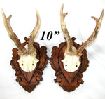 PAIR Vintage Black Forest Carved Trophy Mount, Oak Leaves with Genuine Antlers