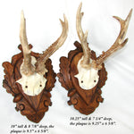 PAIR Vintage Black Forest Carved Trophy Mount, Oak Leaves with Genuine Antlers
