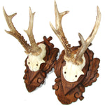 PAIR Vintage Black Forest Carved Trophy Mount, Oak Leaves with Genuine Antlers