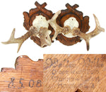 PAIR Vintage Black Forest Carved Trophy Mount, Oak Leaves with Genuine Antlers