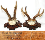 PAIR Vintage Black Forest Carved Trophy Mount, Oak Leaves with Genuine Antlers