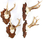 PAIR Vintage Black Forest Carved Trophy Mount, Oak Leaves with Genuine Antlers
