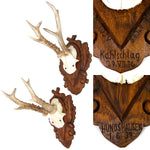PAIR Vintage Black Forest Carved Trophy Mount, Oak Leaves with Genuine Antlers