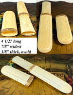 Antique 4.5" Long Palais Royal Ivory Needle or Bodkin Case, Etui, 18k Gold Bands