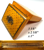 Antique 19th Century  French Star Pique Snuff or Patch Box, Boulle Bouquet Cartouche