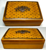 Antique 19th Century  French Star Pique Snuff or Patch Box, Boulle Bouquet Cartouche