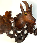 Antique Hand Carved Swiss Black Forest 23 3/4" Hat, Coat Rack, Chamois Goat w Glass Eyes