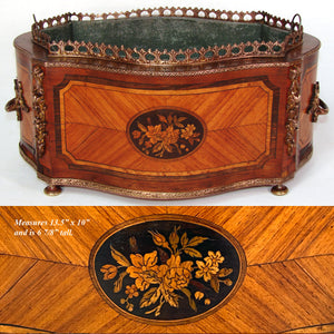 Antique French 13.5" Marquetry Inlay Jardiniere or Plant Box, Floral Medallions